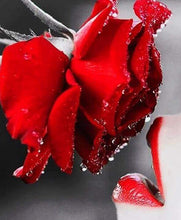 Load image into Gallery viewer, RED ROSE . RED LIPS . DIAMOND ART by MishL