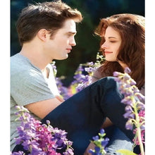 Load image into Gallery viewer, TWILIGHT . DIAMOND ART by MishL
