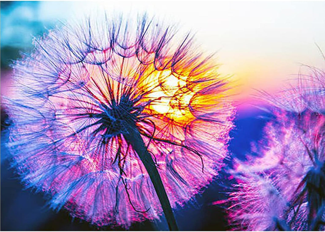 DANDELION . DIAMOND PAINTING