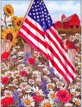 Load image into Gallery viewer, AMERICAN BEAUTY . DIAMOND PAINTING
