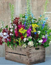 Load image into Gallery viewer, FLOWER BASKET . DIAMOND PAINTING
