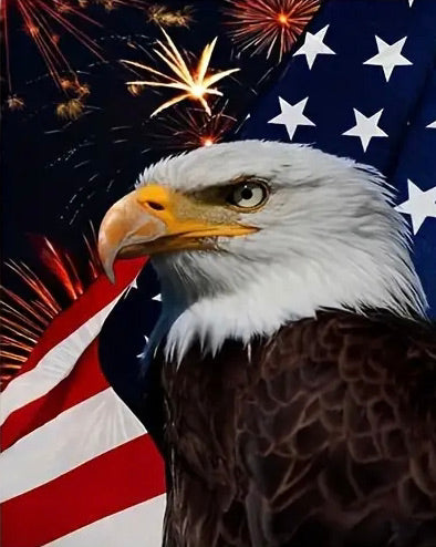 AMERICAN EAGLE . DIAMOND ART by MishL