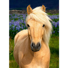 Load image into Gallery viewer, STALLION . DIAMOND PAINTING
